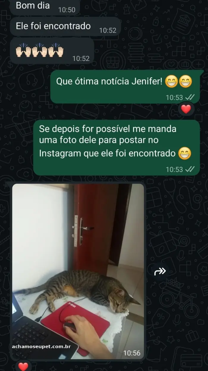 Depoimento de cliente no WhatsApp comemorando o reencontro com o pet