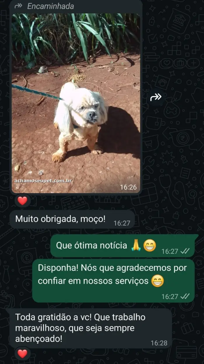 Depoimento de cliente no WhatsApp com foto do cachorro reencontrado