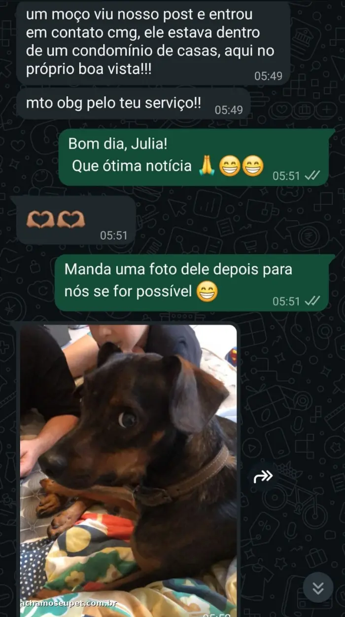 Depoimento de cliente no WhatsApp contando como encontrou o pet perdido