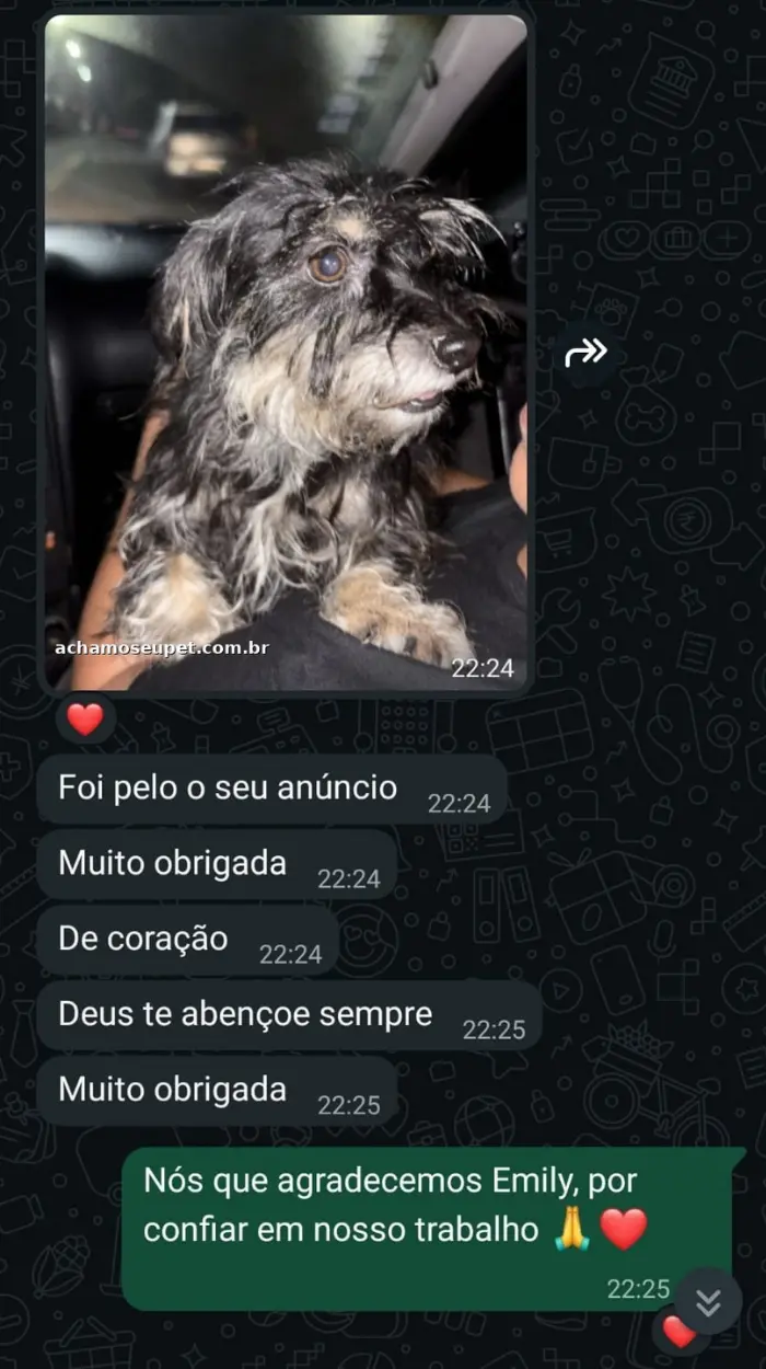 Depoimento de cliente no WhatsApp agradecendo pelo pet encontrado após anúncio na região