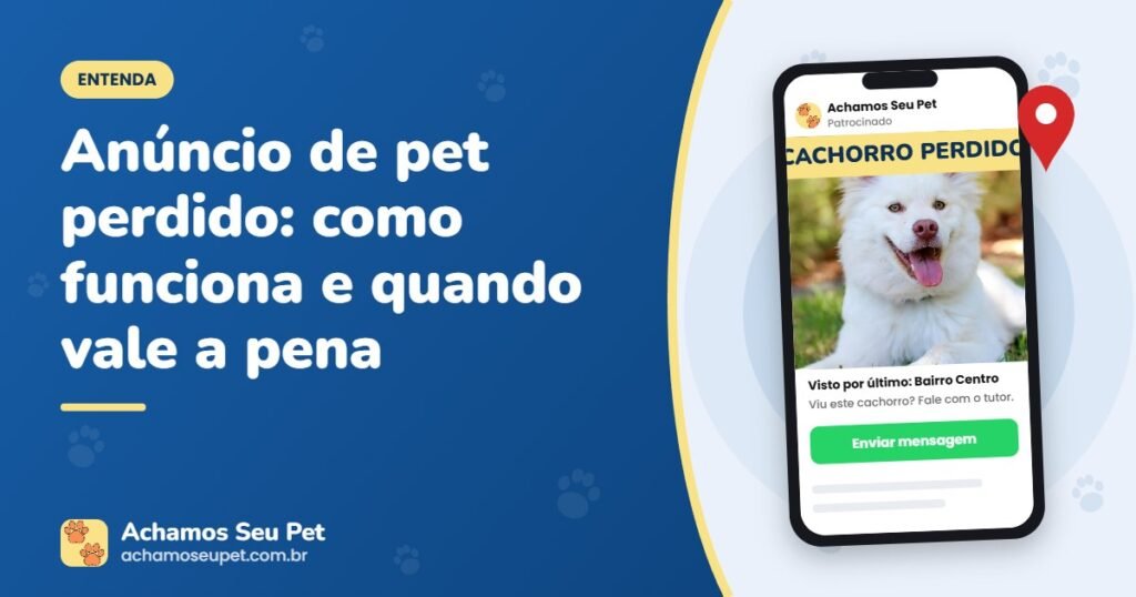 Exemplo de anúncio de cachorro perdido no Instagram para pessoas da região