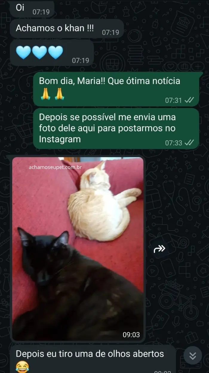 Depoimento de cliente no WhatsApp: pet Khan reencontrado com a ajuda do Achamos Seu Pet